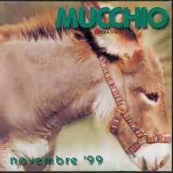 Mucchio Selvaggio (1999)